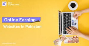 Read more about the article List Of 18 Best Online Earning Websites In Pakistan In 2024